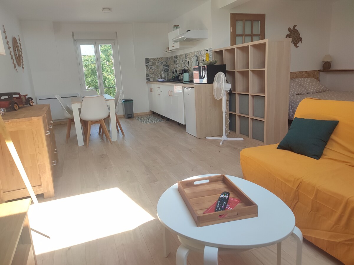 Top Airbnb: L'Alternative Grand Eco Studio Coeur de ville in Cambrai