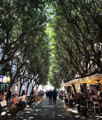 Re Gallo Luxury Home Chiaia Plebiscito gallery image 5