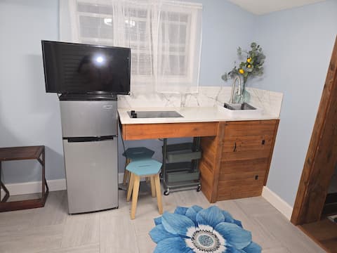 Successful Airbnb property: Hawaii in Tampa FL Tiny House in Palmetto Beach