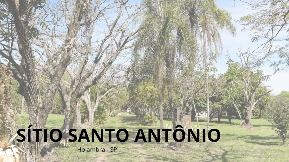 A serene outdoor pathway lined with tall trees and lush greenery invites exploration. The landscape features various types of palm and fruit trees, creating a tranquil environment. Sunlight filters through the branches, enhancing the natural beauty of the area.