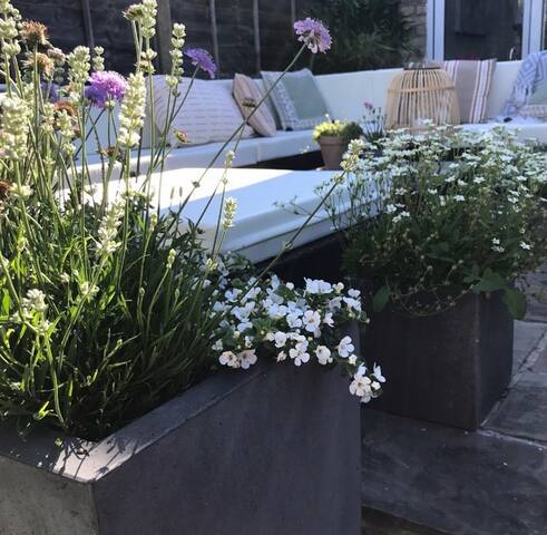 4 bed stylish Edwardian home near Wimbledon tennis gallery image 2