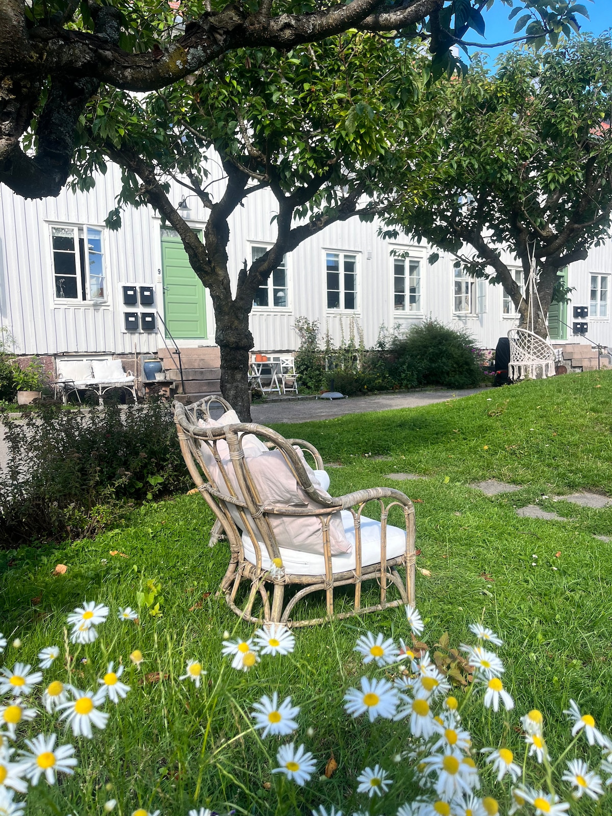 A tranquil garden is shown, featuring a woven chair positioned on lush green grass, surrounded by blooming daisies. Pastel-colored buildings are visible in the background, framed by leafy trees, creating a serene and inviting outdoor space.