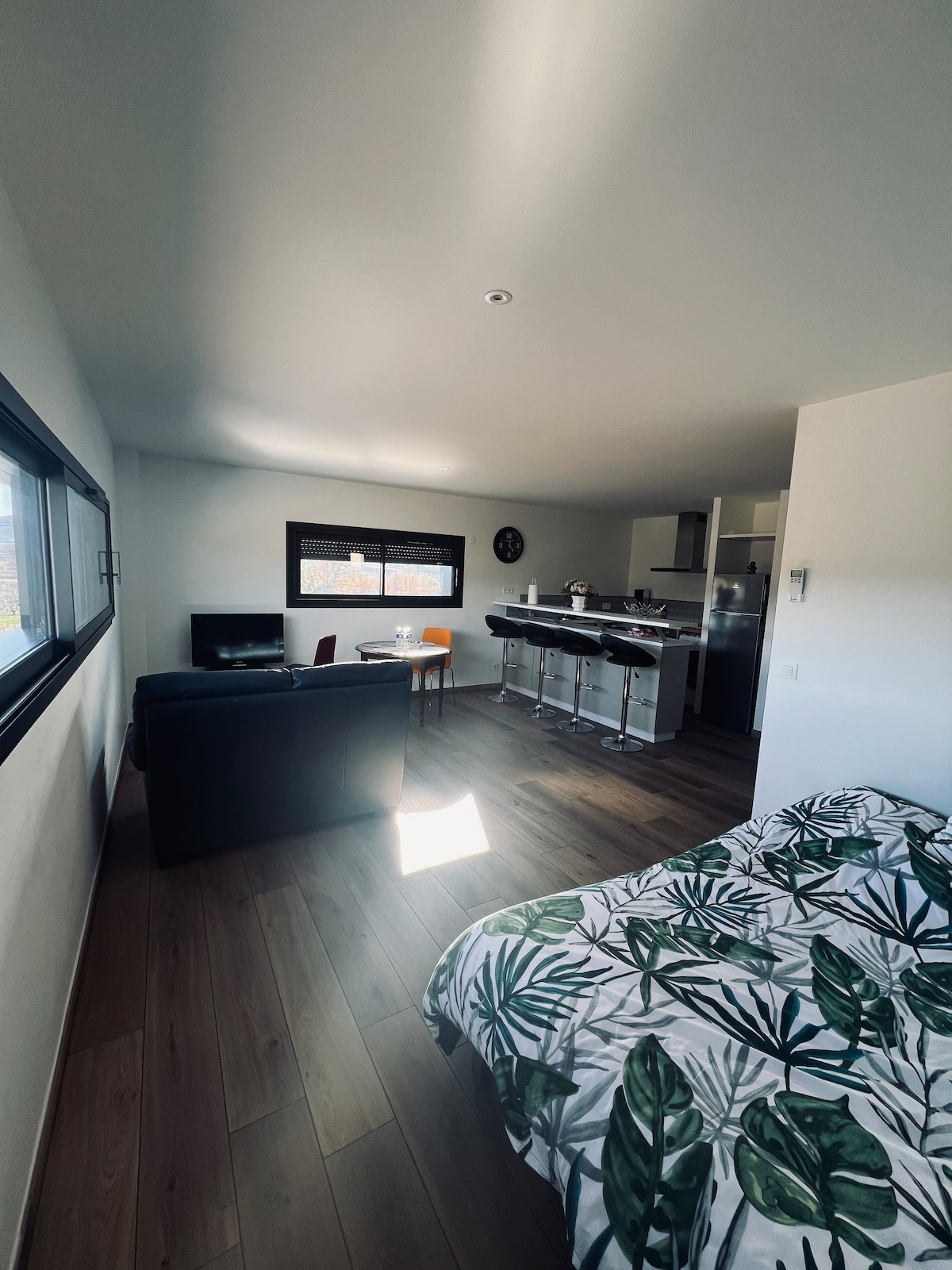 A bright studio space is depicted, featuring a spacious bed adorned with leafy patterned bedding. A dark sofa is positioned in front of a television, while a small dining table and chairs occupy one corner. Natural light enters through large windows.