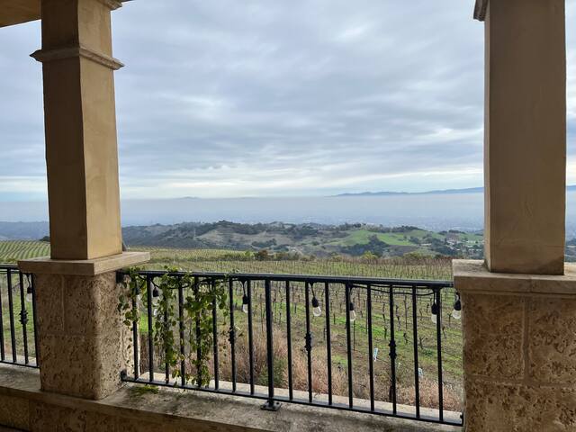 Eden Fair gallery image 3