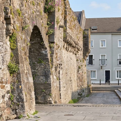 River View Townhouse - Spanish Arch - Downtown