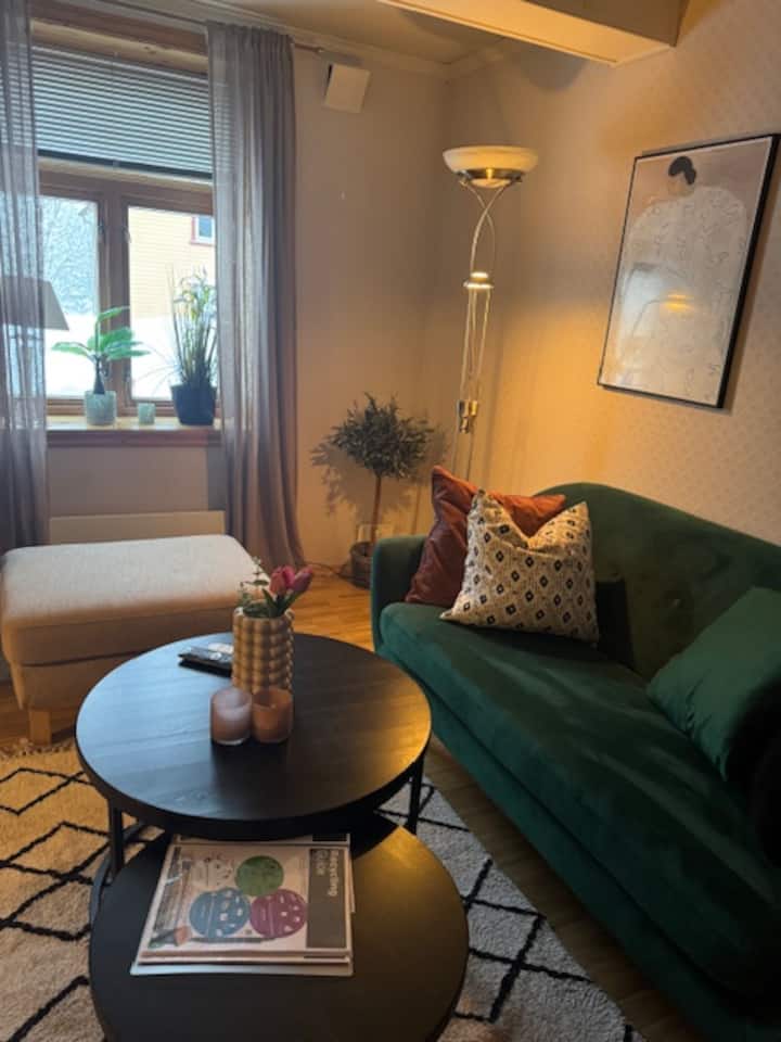 Apartment In Central Villa - Tromsø