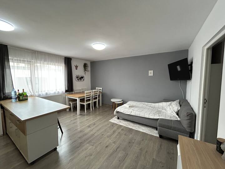 Apartament Pentru Untold - Cluj-Napoca
