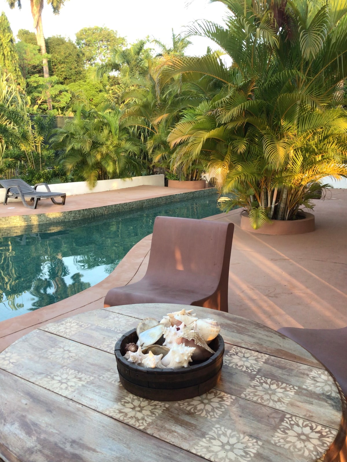 A table with a shallow wooden bowl filled with seashells is positioned near a tranquil salt-water pool. Loungers are arranged along the edge, surrounded by lush tropical foliage and palm trees, creating a serene outdoor setting.
