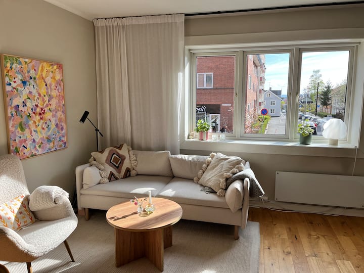 Koselig Leilighet- Nærhet Til Alt Oslo Har å By På - Oslo