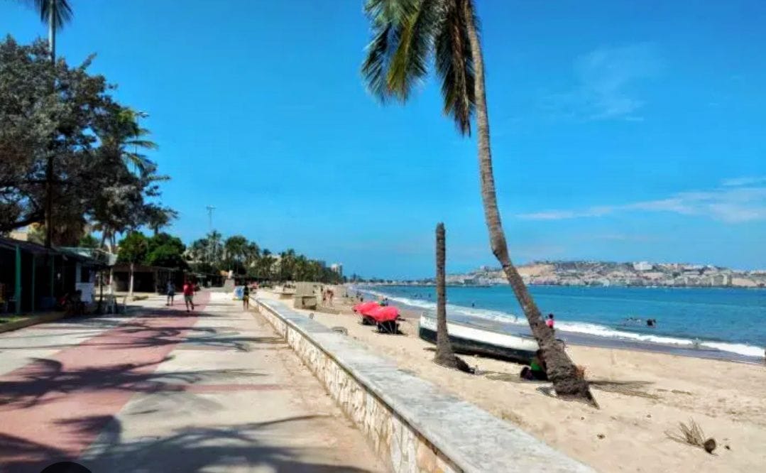 A sandy beach is bordered by a palm-lined walkway, inviting leisurely strolls. The calm blue water meets the shore, while people can be seen engaging in various activities. Beach chairs are arranged along the sand, providing spaces for relaxation under the clear sky.