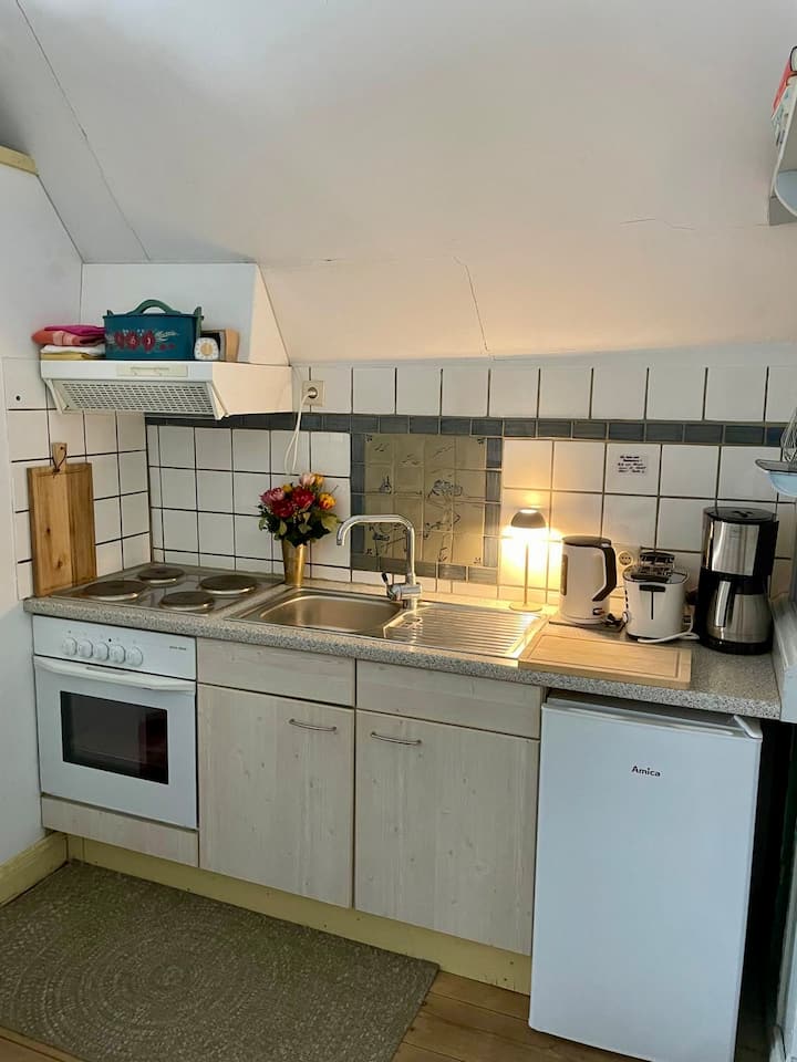 Apartment Im Landhausstil Mit Schöner Aussicht - Friedrichstadt