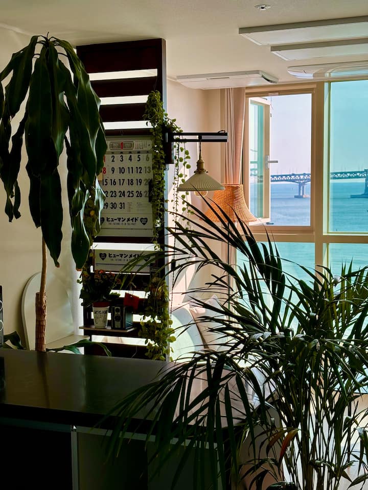 small house | Front view of Gwangan Bridge | Ocean view | 1 minute on the beach | New open | Deals