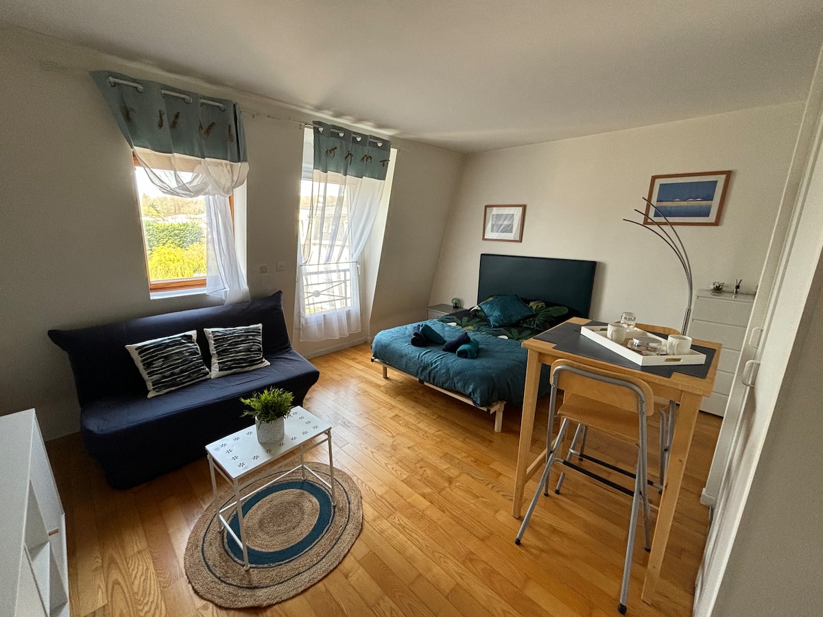 A spacious studio features a comfortable double bed and a convertible sofa. Natural light filters through large windows, illuminating the wood floor. A small dining area with a table and stools is present, complemented by decorative elements like a potted plant and a rug.