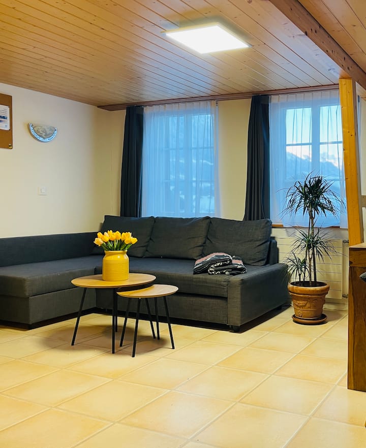 The Swiss Kiwi Chalet - Interlaken