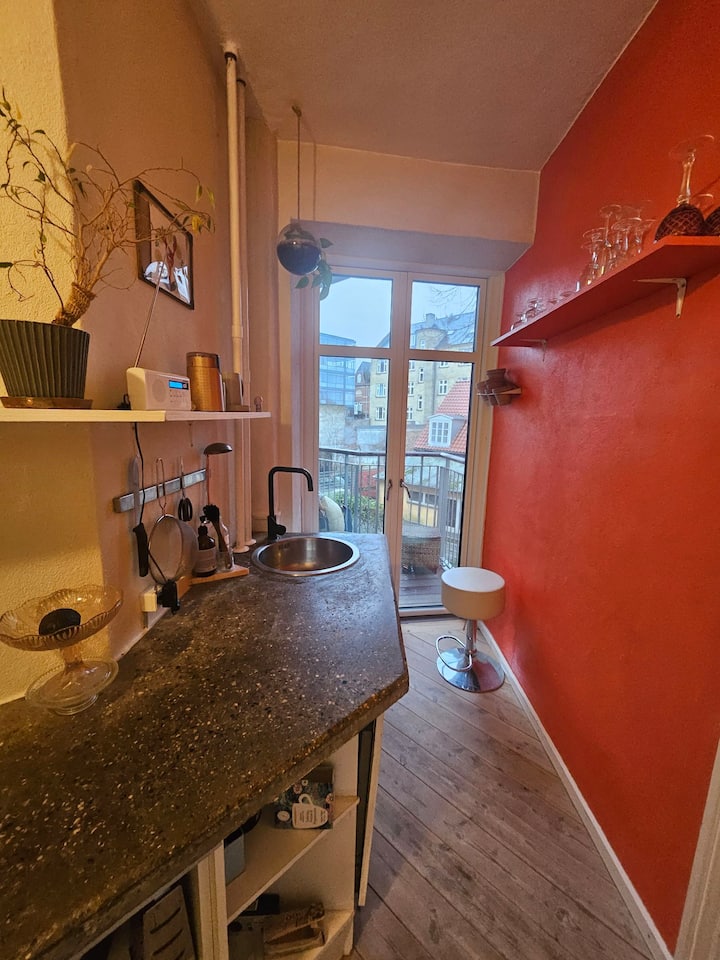 Charmerende Lejlighed Med Altan, Nørrebro - Copenhaguen