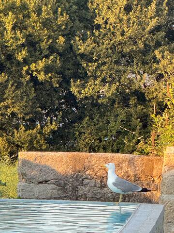 Casa de Ramalde gallery image 5