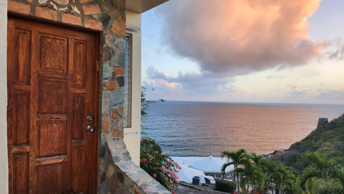 A wooden door with intricate carvings is framed by natural stone walls. Visible through the doorway is a sweeping view of the Caribbean Sea, merging with soft pastel hues of a sunset sky. Lush greenery and flowering plants complement the coastal scenery.