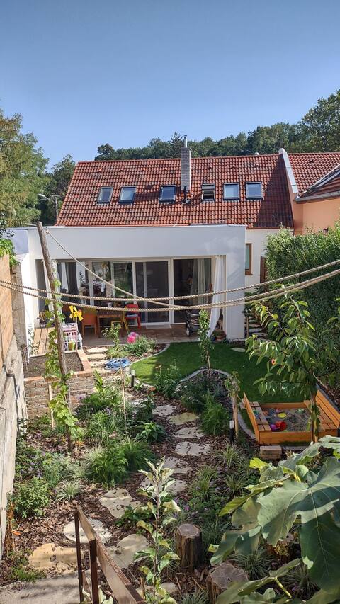 Vineyard house in the center of Modra