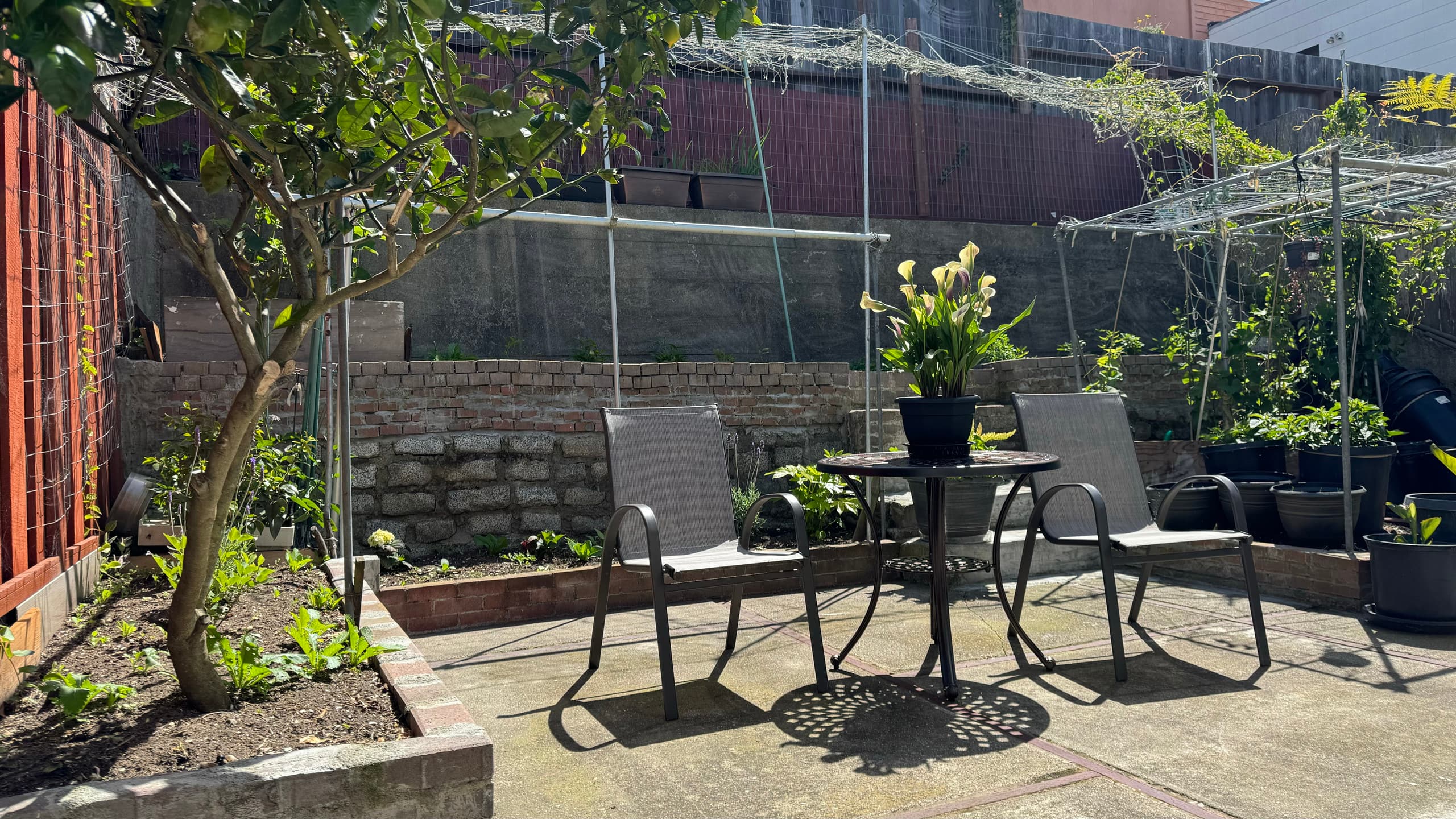 Home in San Francisco · ★4.93 · 2 bedrooms · 2 beds · 1 bath - Image 37