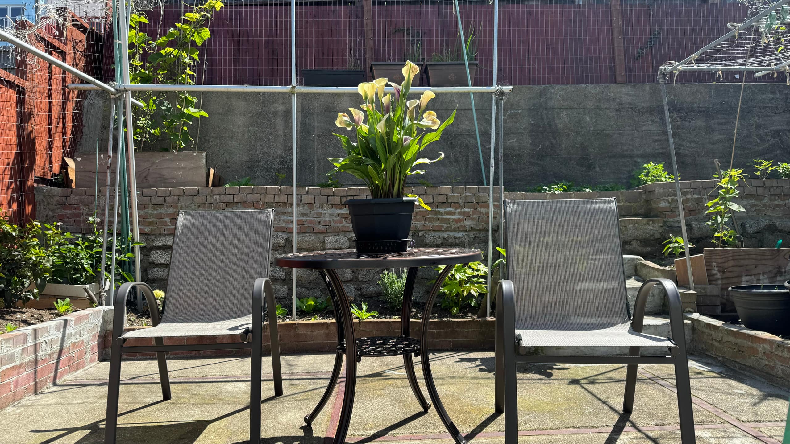 Home in San Francisco · ★4.93 · 2 bedrooms · 2 beds · 1 bath - Image 40