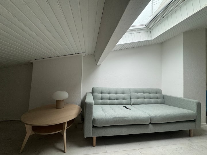 Joli T3 Duplex Compans Cafarelli - Toulouse