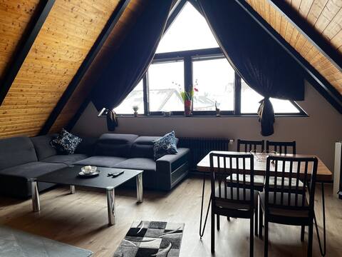 Gorgeous spacious duplex  apartment