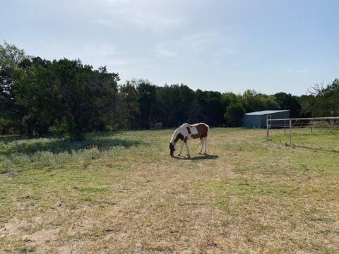 McKinney Ranch Texas Cactus Cottage