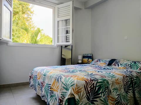 Antillean 2-bedroom apartment near the University Hospital