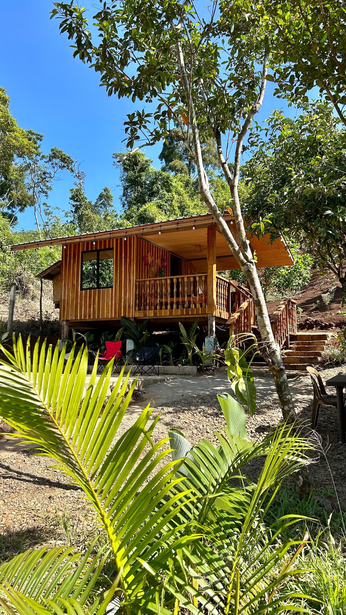 A cozy one-bedroom cabin house is set amid lush greenery. The wooden structure features a spacious veranda with a railing, and large windows allow natural light to fill the interior. Steps lead up to the entrance, surrounded by tropical plants.