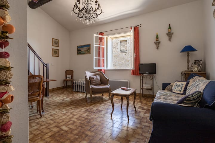 Petit Paradis Nemausus Centre - Nîmes