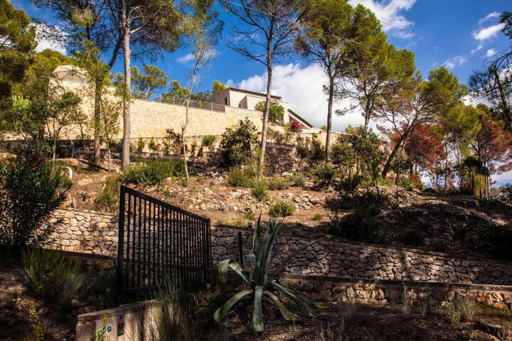 Villa Esperanza gallery image 4