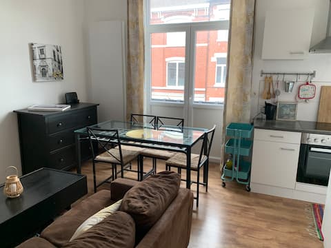 Bright, renovated first floor apartment