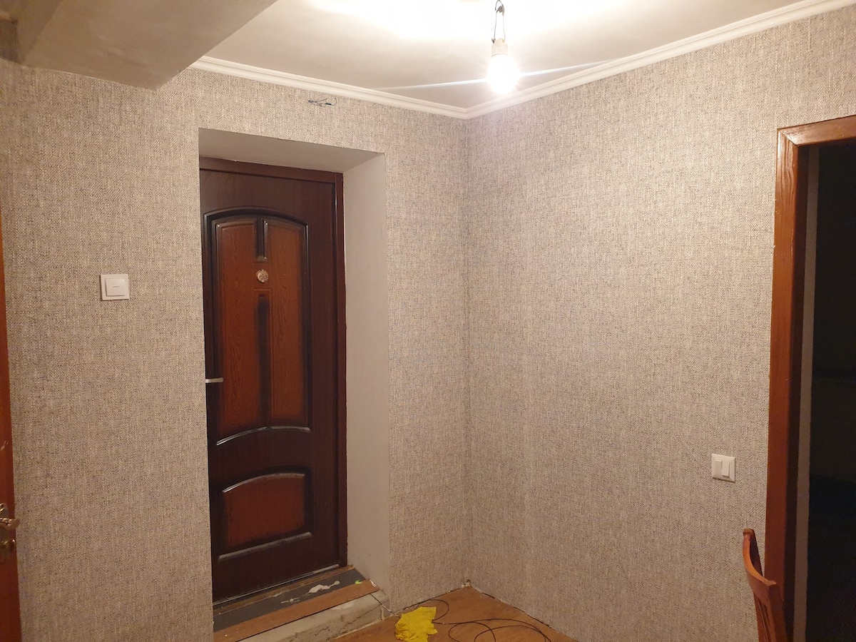 A simple entryway is showcased with patterned wallpaper covering the walls. A dark wooden door stands at the center, with a small step leading outside. A bare light bulb hangs from the ceiling, and the flooring appears unfinished.