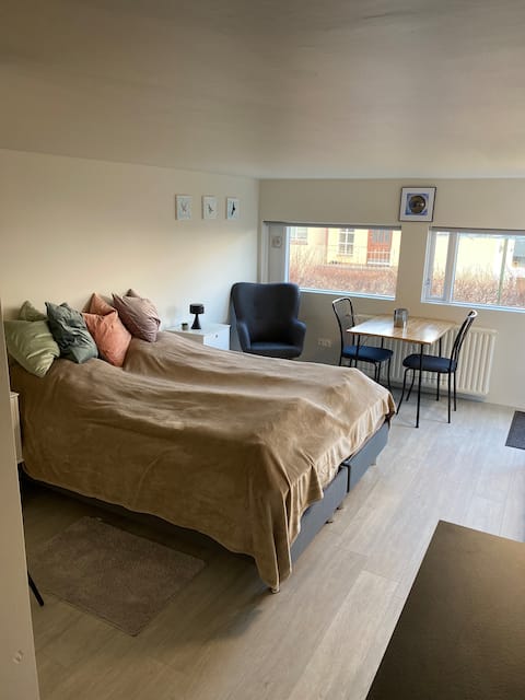 A cozy studio apartment