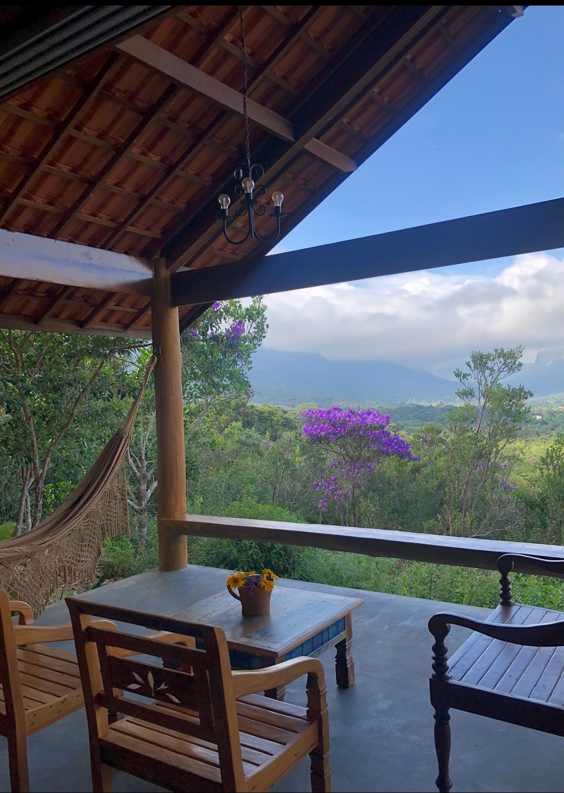 A covered porch is depicted, featuring rustic wooden chairs and a table adorned with a small flower pot. A hammock is seen to one side, with sweeping views of lush greenery and mountains. Vibrant purple flowers add color to the landscape beyond.
