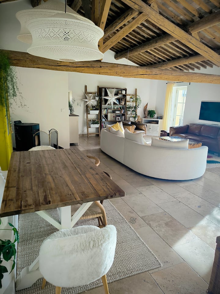 Superbe Mas Provençal - Salon-de-Provence