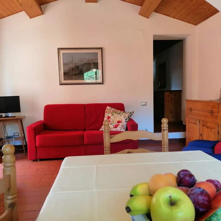 Agriturismo Le Cerbonche - Appartamento Il Granaio - Rosignano Marittimo