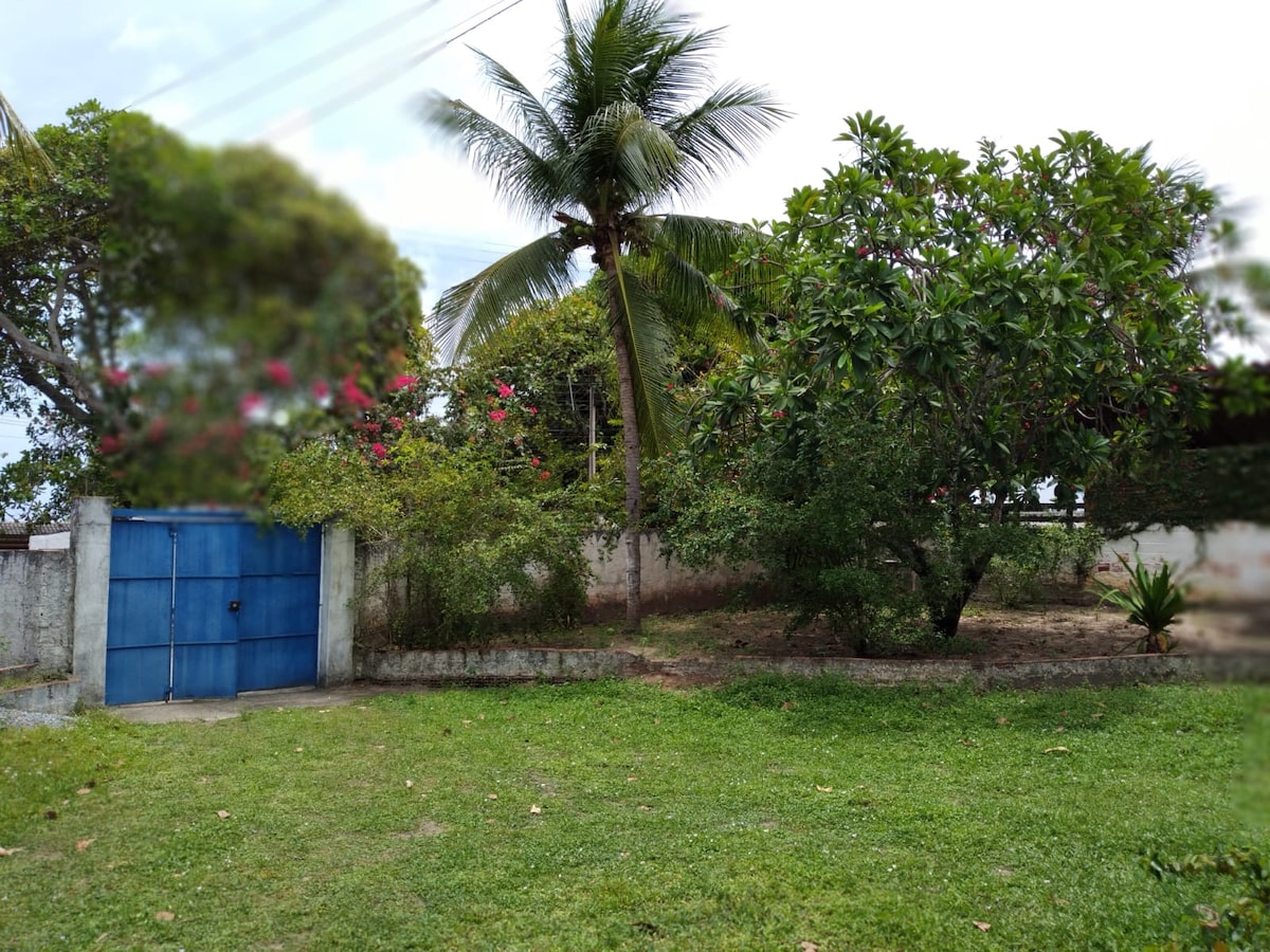 A spacious yard features lush green grass, surrounded by trees and flowering plants. A blue gate is visible, leading to the property, while tropical palms provide shade. The area offers a tranquil outdoor setting, ideal for relaxation or outdoor activities.