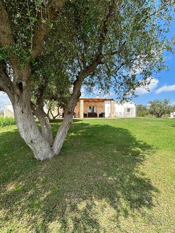 L’ Oliveraie élegante villa familiale à Ostuni gallery image 2