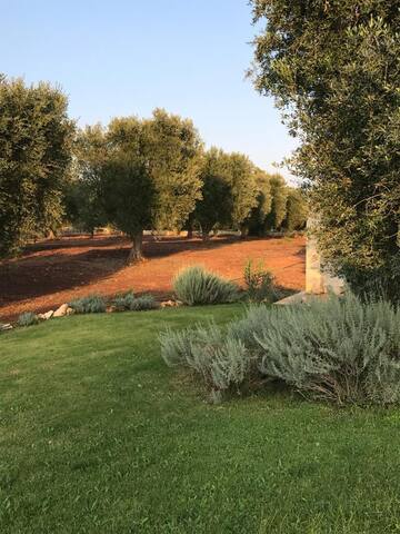 L’ Oliveraie élegante villa familiale à Ostuni gallery image 5