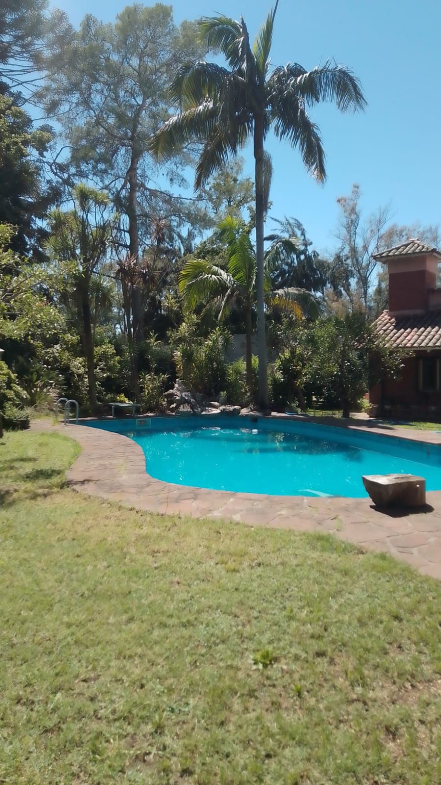A serene outdoor area features a swimming pool surrounded by lush greenery and palm trees. A stone pathway leads to the pool, while a cozy seating area is nestled among the plants. Sunlight reflects off the water, creating a calm atmosphere.