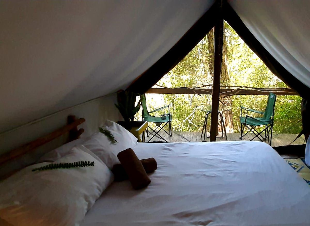 Inside the canvas tent, a cozy sleeping area is featured with a spacious bed adorned with fresh linens. Two comfortable chairs are positioned outside on the deck, offering a view of the surrounding forest. Natural light filters through the tent opening, enhancing the serene ambiance.