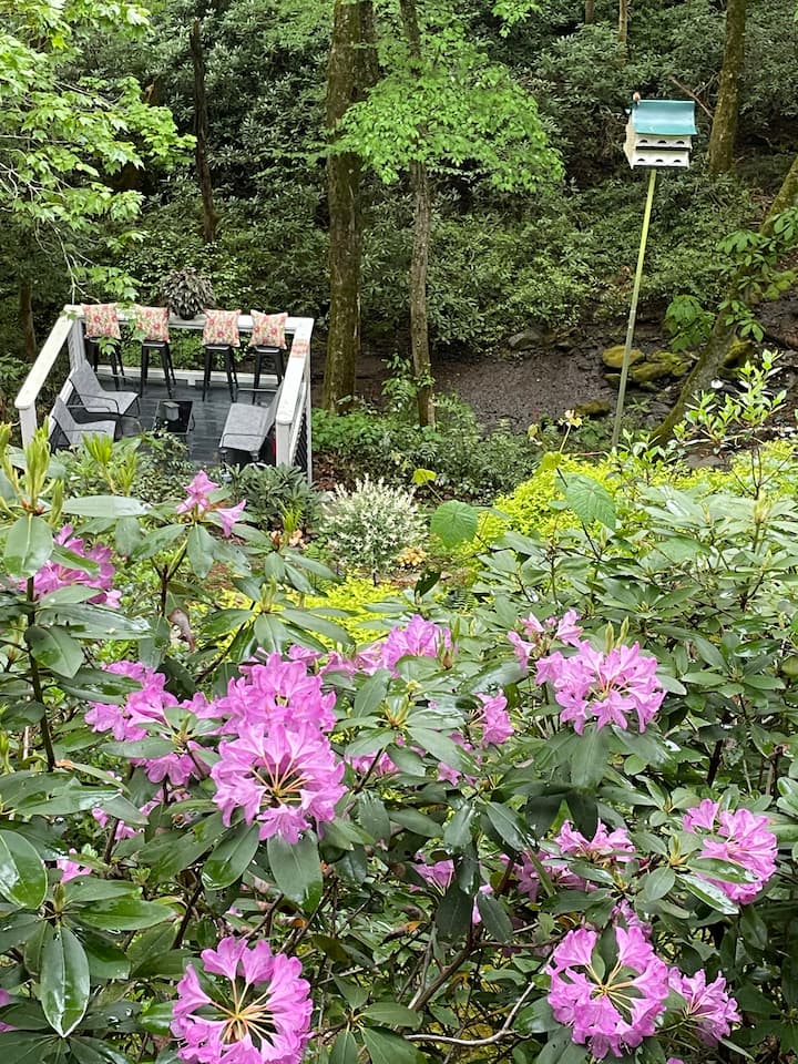 Highlands Mt Lori Garden Guesthouse Apartments for Rent in Highlands