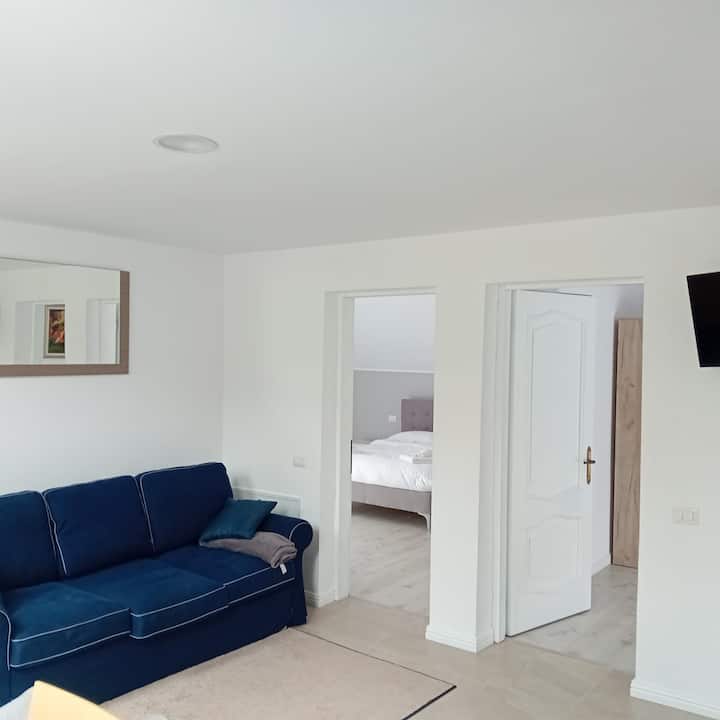 Apartament Casa Mont Blanc Nr 2 - Cavnic
