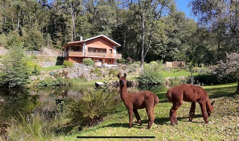 Chalet "Rêves en Vosges" Nordic bath Alpacas