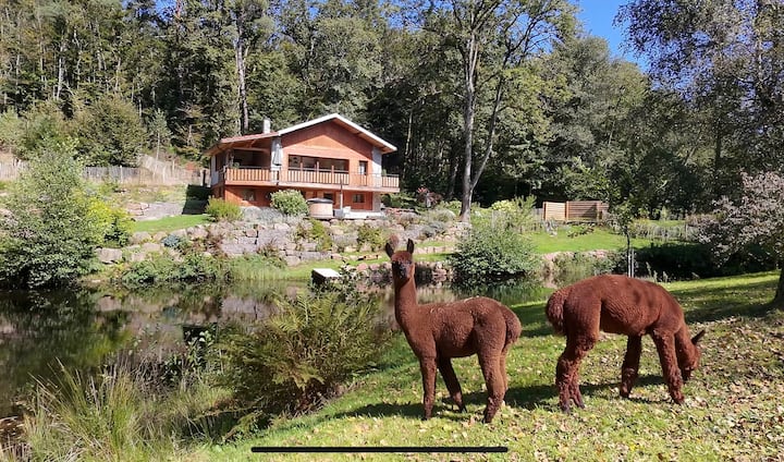 Chalet "Rêves en Vosges" Nordic bath Alpacas