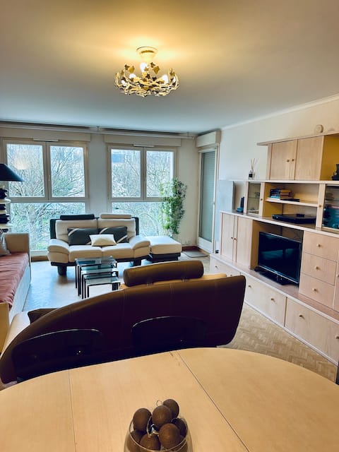 Beautiful flat with view park