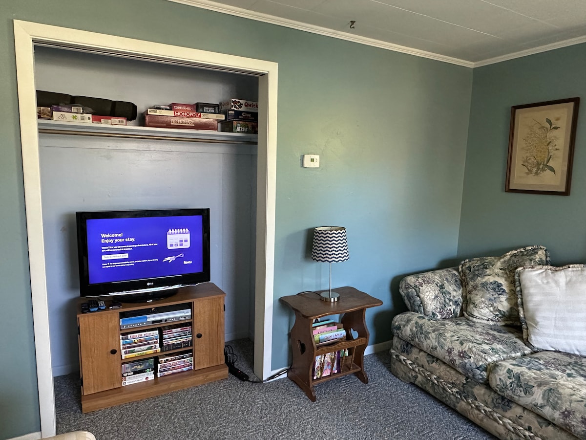 VHS, DVD, Roku, Trò chơi cờ bàn, Sách, câu đố và một tấm thảm câu đố! 