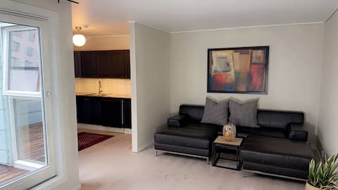 Central & quiet city apartment with elevator in Porsgrunn