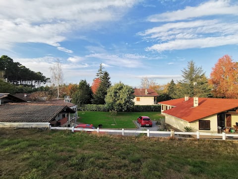 Quiet between pine trees and the ocean
